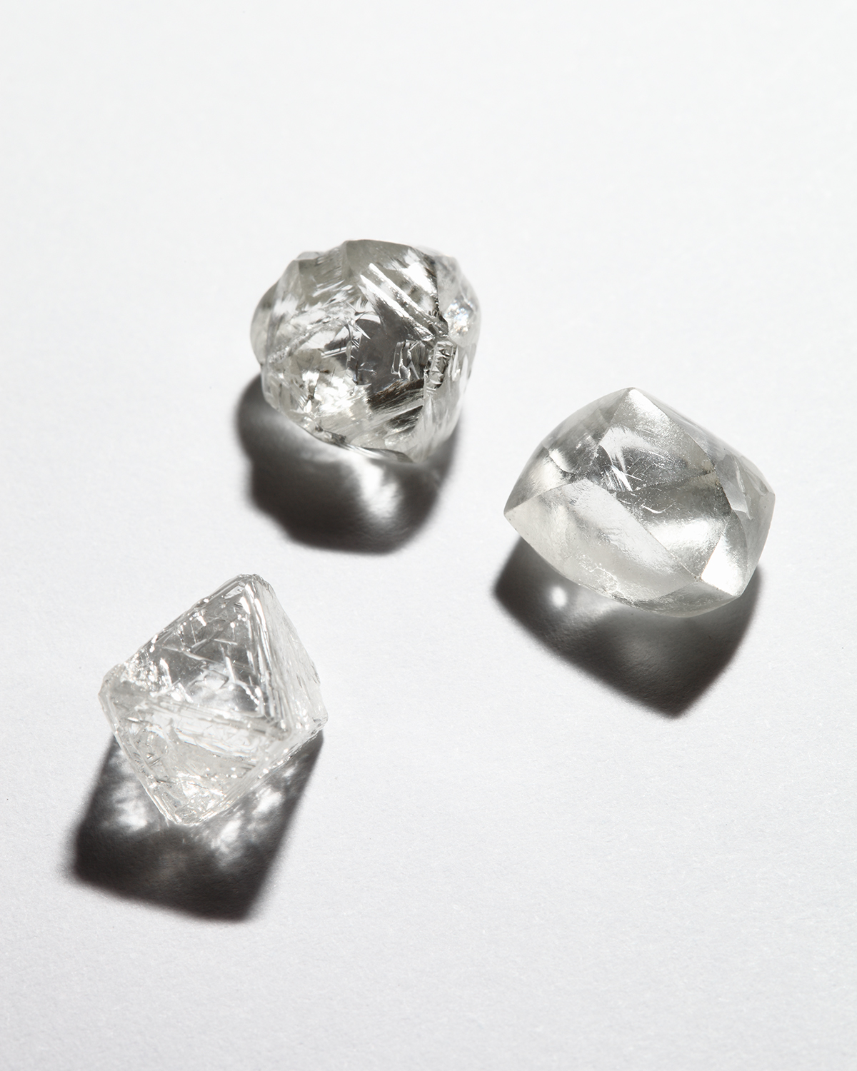 Le Voyage des Diamants chez Tiffany & Co. 3 Le Voyage des Diamants chez Tiffany & Co.