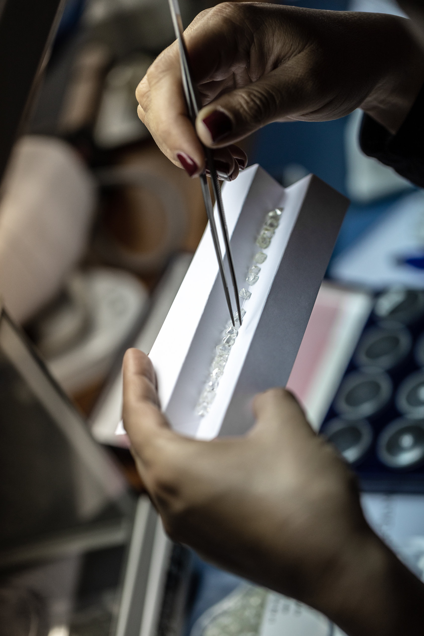 Le Voyage des Diamants chez Tiffany & Co. 5 Le Voyage des Diamants chez Tiffany & Co.