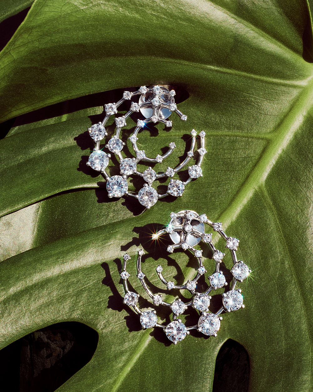 Fernando Jorge Found Uncommon Inspiration in the Familiar Round Brilliant Diamond 4 Fernando Jorge Found Uncommon Inspiration in the Familiar Round Brilliant Diamond