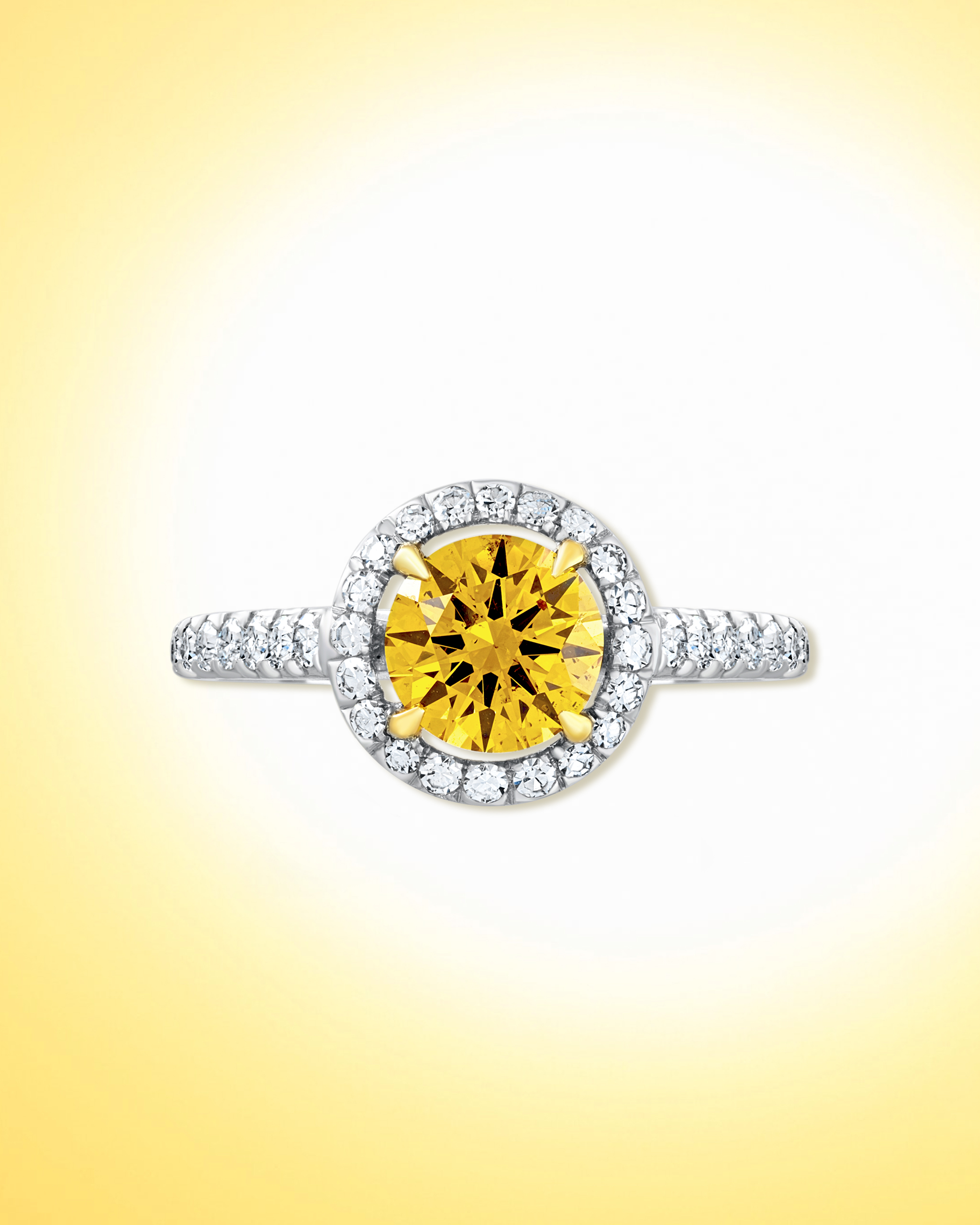 Round cut yellow diamond ring haloed by white pave diamonds on a platinum band from David Morris