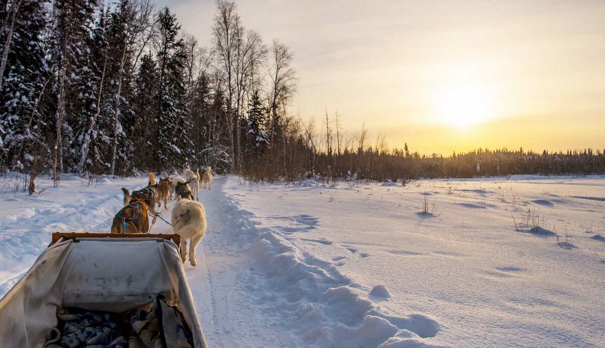 DESTINATION DIAMOND Canada’s Northwest Territories dog sled