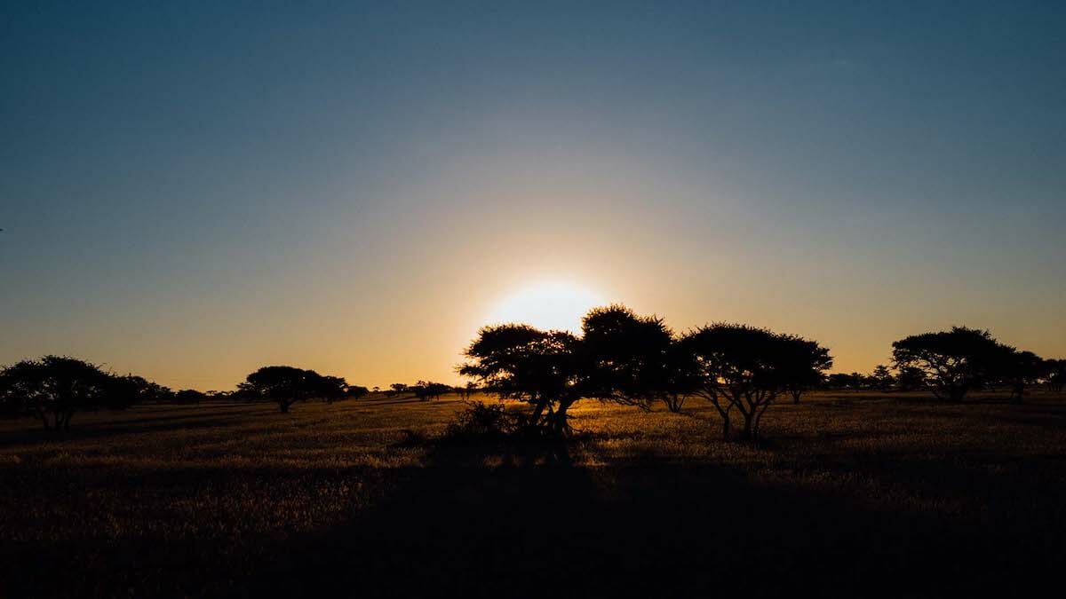 destination diamonds south africa travel dronefield nature reserve