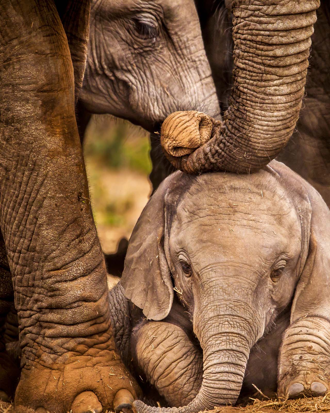  Botswana’s Minister Kenewendo and How Natural Diamonds Make Her Nation Shine