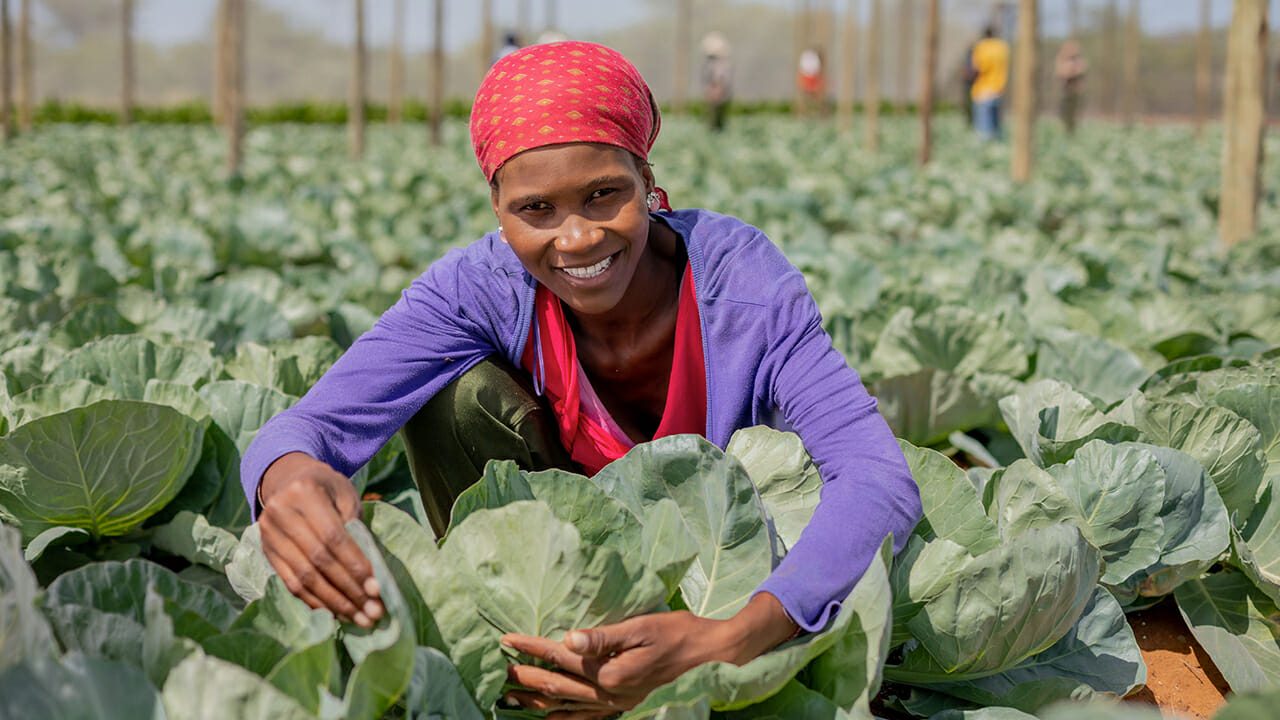 earth day sustainable diamonds woman with cabbage
