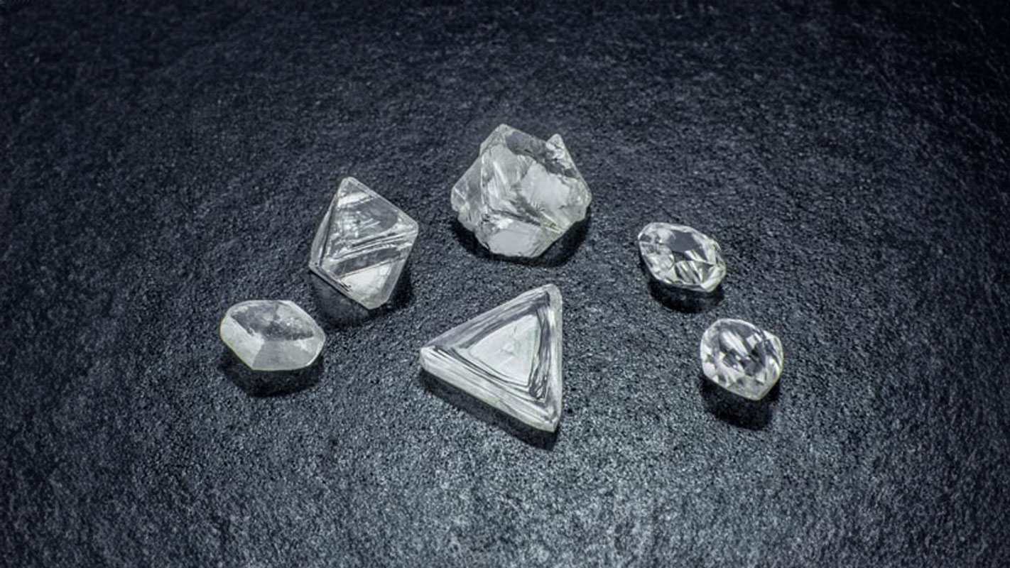 A selection of natural rough diamonds showcasing their diverse crystal habits, including classic octahedra, dodecahedra, and triangular macle twins.