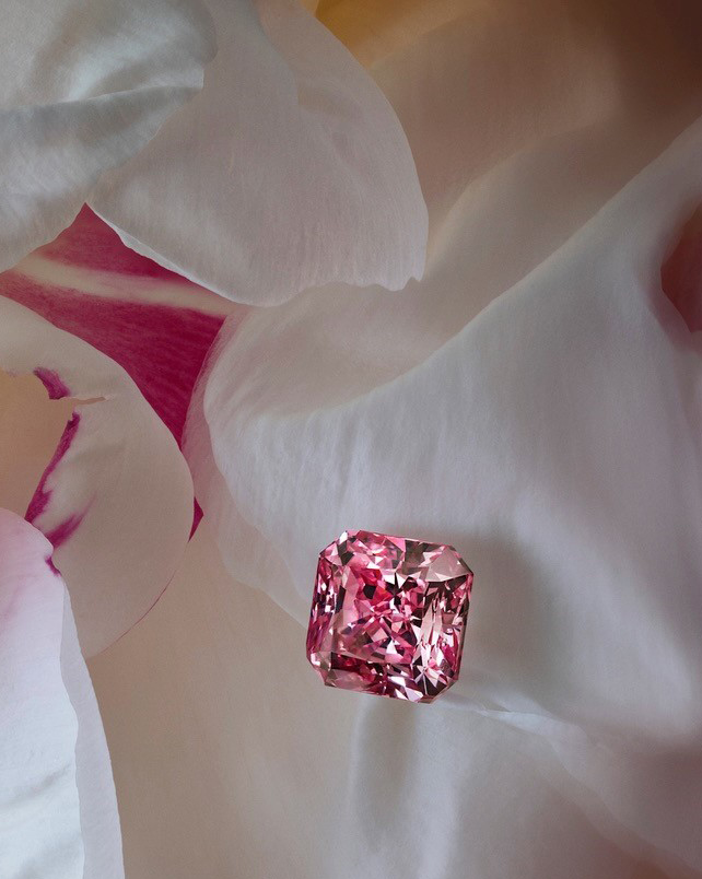 Maison Mazerea: The World's First "Haute Diamanterie Maison" 5 pink diamomd Maison Mazerea