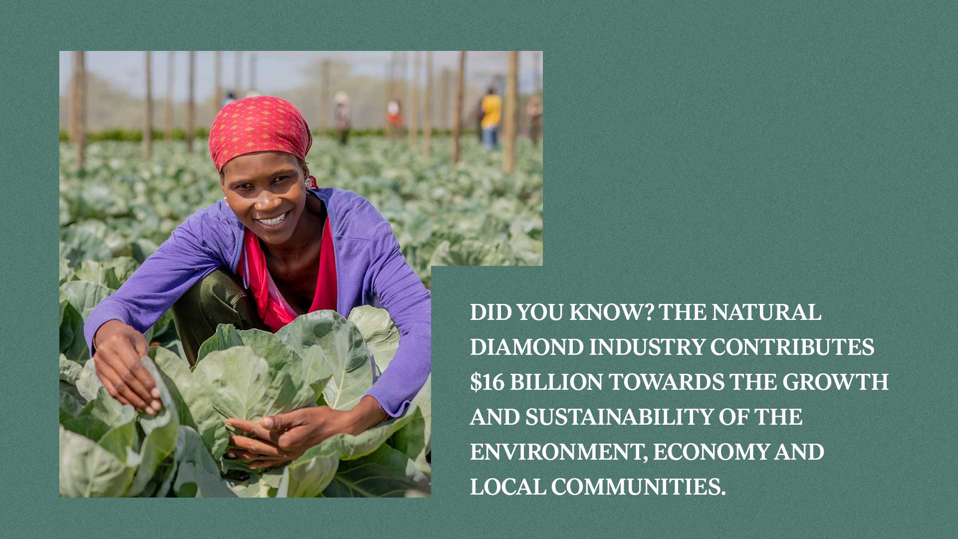 Natural diamond’s contribution towards growth and sustainability 