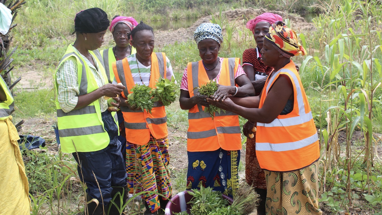 Sierra Leone Charts a New Diamond Story 3 Farmers inspecting their harvest at a GemFair reclamation site in Sierra Leone