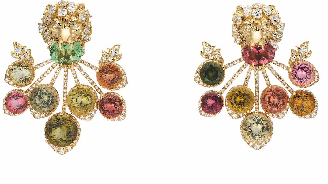 Summer’s Best Fruit-Bearing Gems 6 Summer’s Best Fruit-Bearing Gems