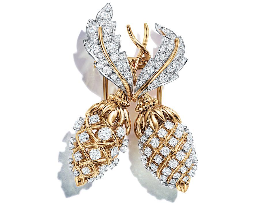 Summer’s Best Fruit-Bearing Gems 4 Summer’s Best Fruit-Bearing Gems