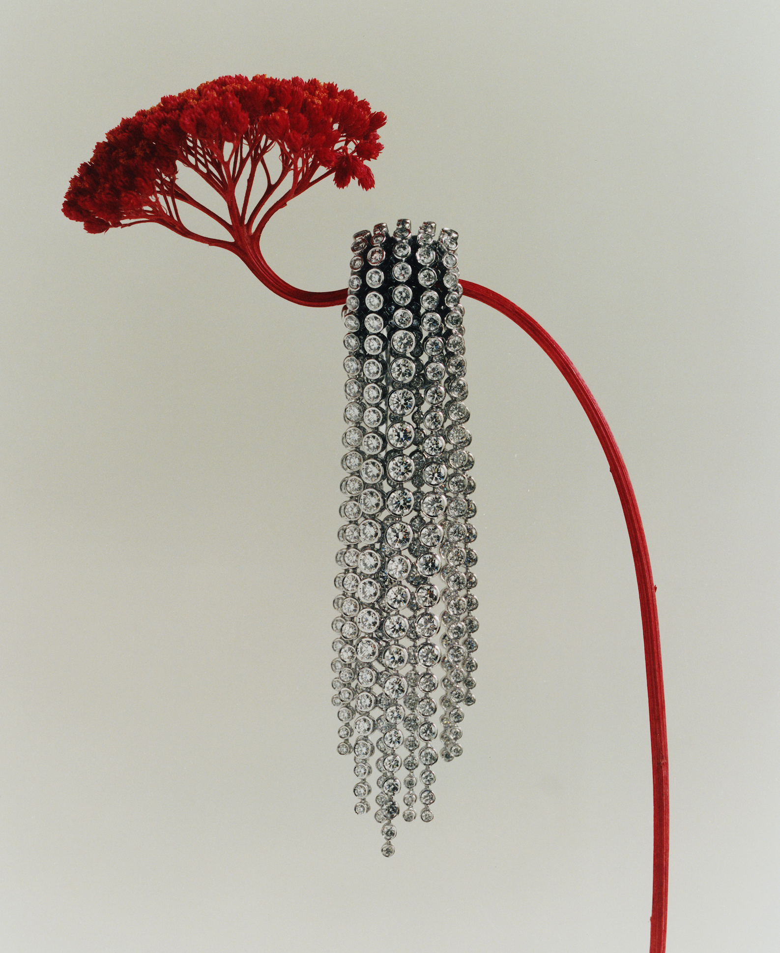 Extraordinary Natural Diamonds from 2024 Paris High Jewelry