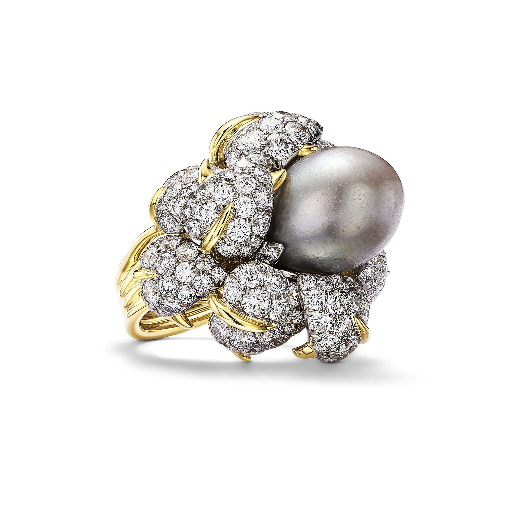 Tiffany & Co. Célèbre la Perle Fine avec Bird on a Pearl 2025 2
Tiffany & Co. Célèbre la Perle Fine avec Bird on a Pearl 2025