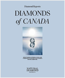 Free Downloadable Assets - Diamond Reports