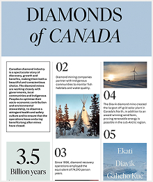 Free Downloadable Assets - Diamond Reports