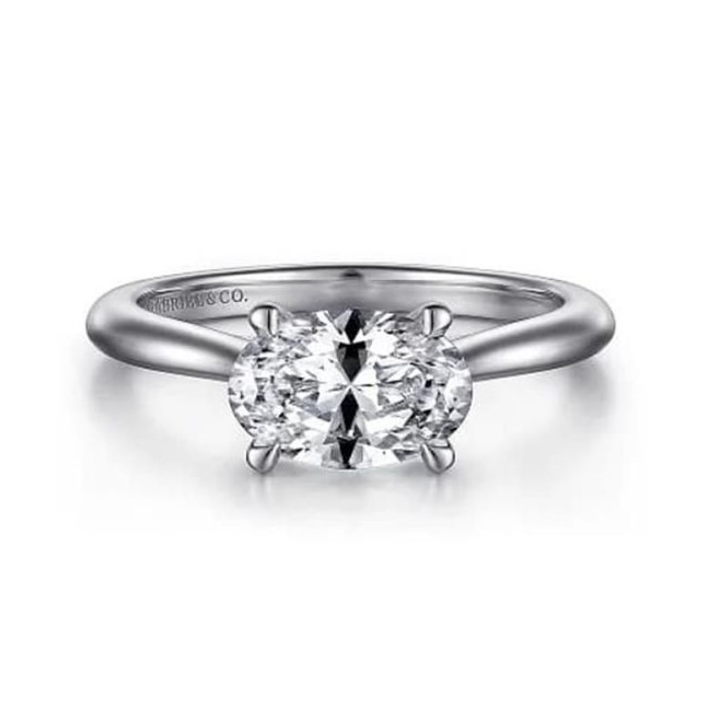 All About Zendaya's Engagement Ring