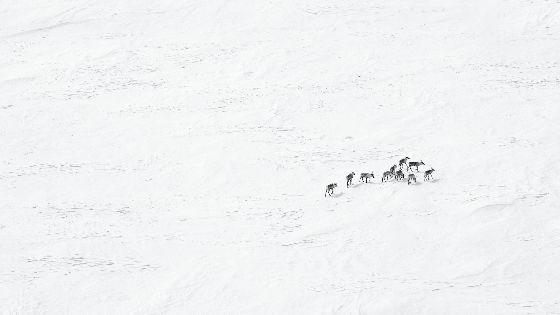 How Rio Tinto’s Diavik Diamond Mine Champions Renewable Energy