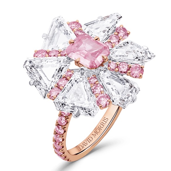 Pink Diamonds are a Miracle of Nature 13 Pink Diamonds are a Miracle of Nature