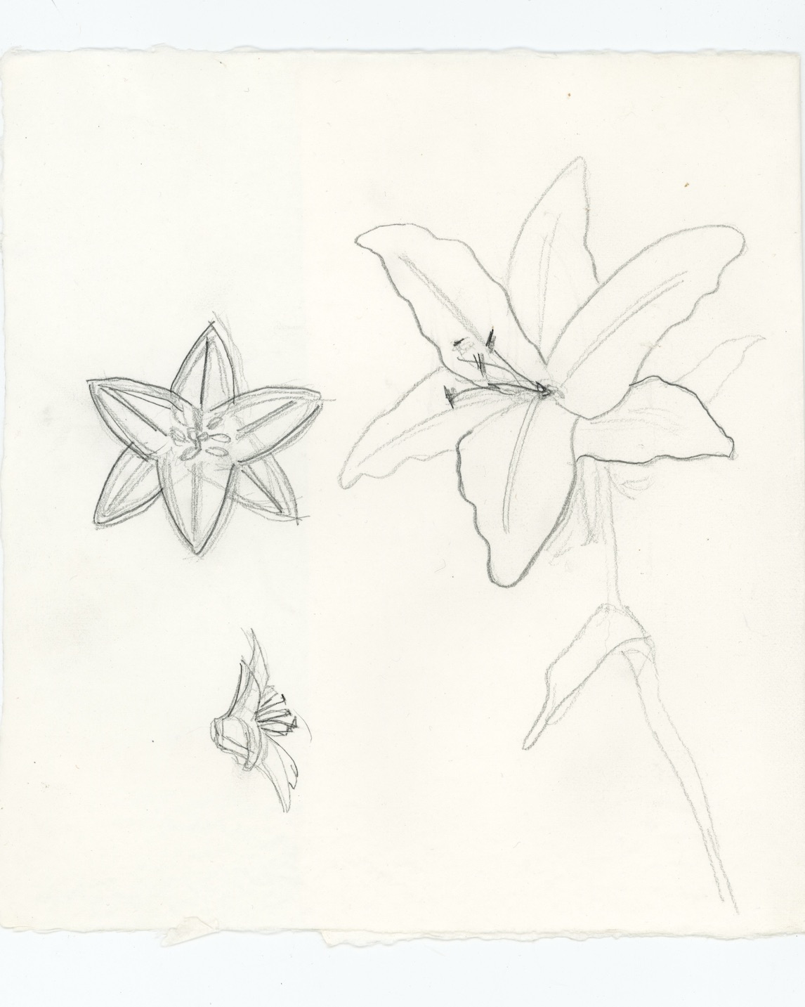 Bernard James, the Reluctant Engagement Ring Designer, Stays True to His Art 6 Bernard James Preliminary Sketches