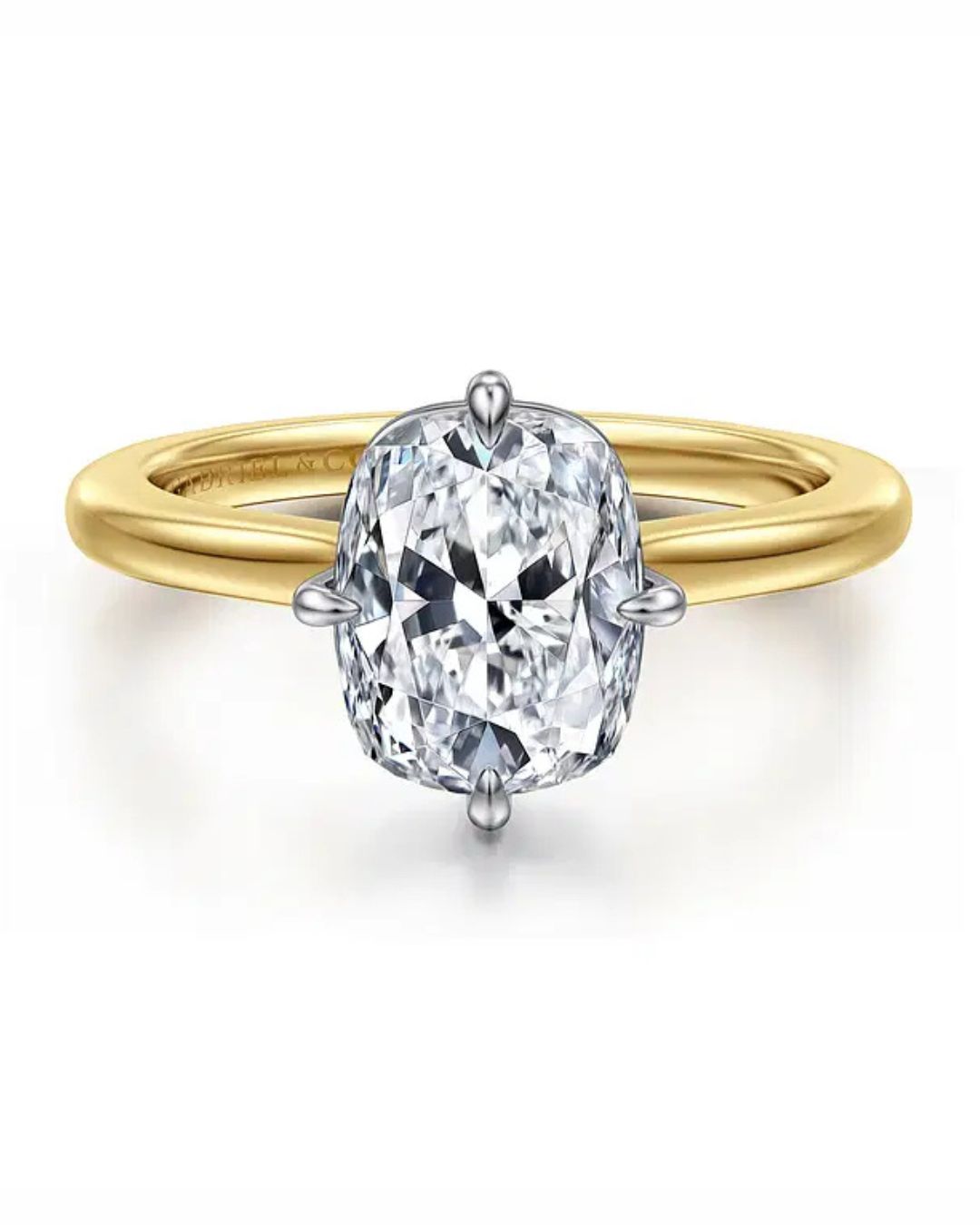 A Complete Guide to the Elongated Cushion Cut Diamond