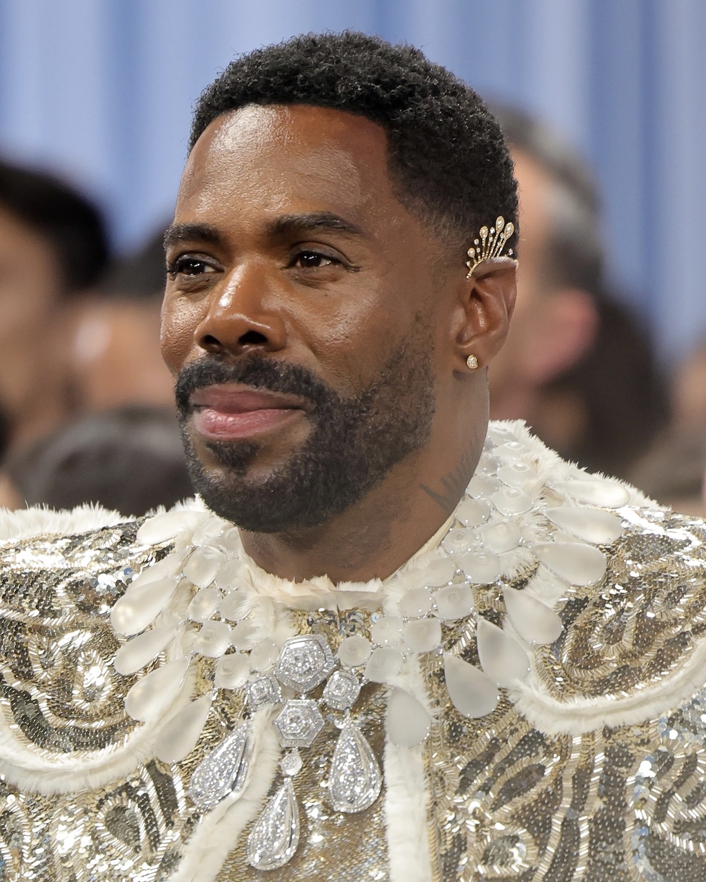 How to Achieve The Most Elevated Earscape 7 Colman Domingo wore a Boucheron earscape at the 2025 Met Gala in New York City.
