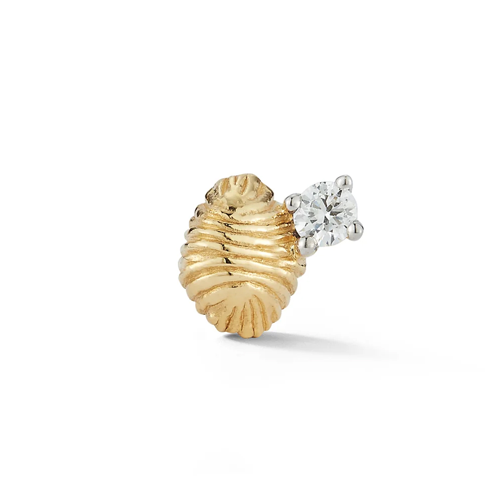 shell jewelry: diamond shell earring
