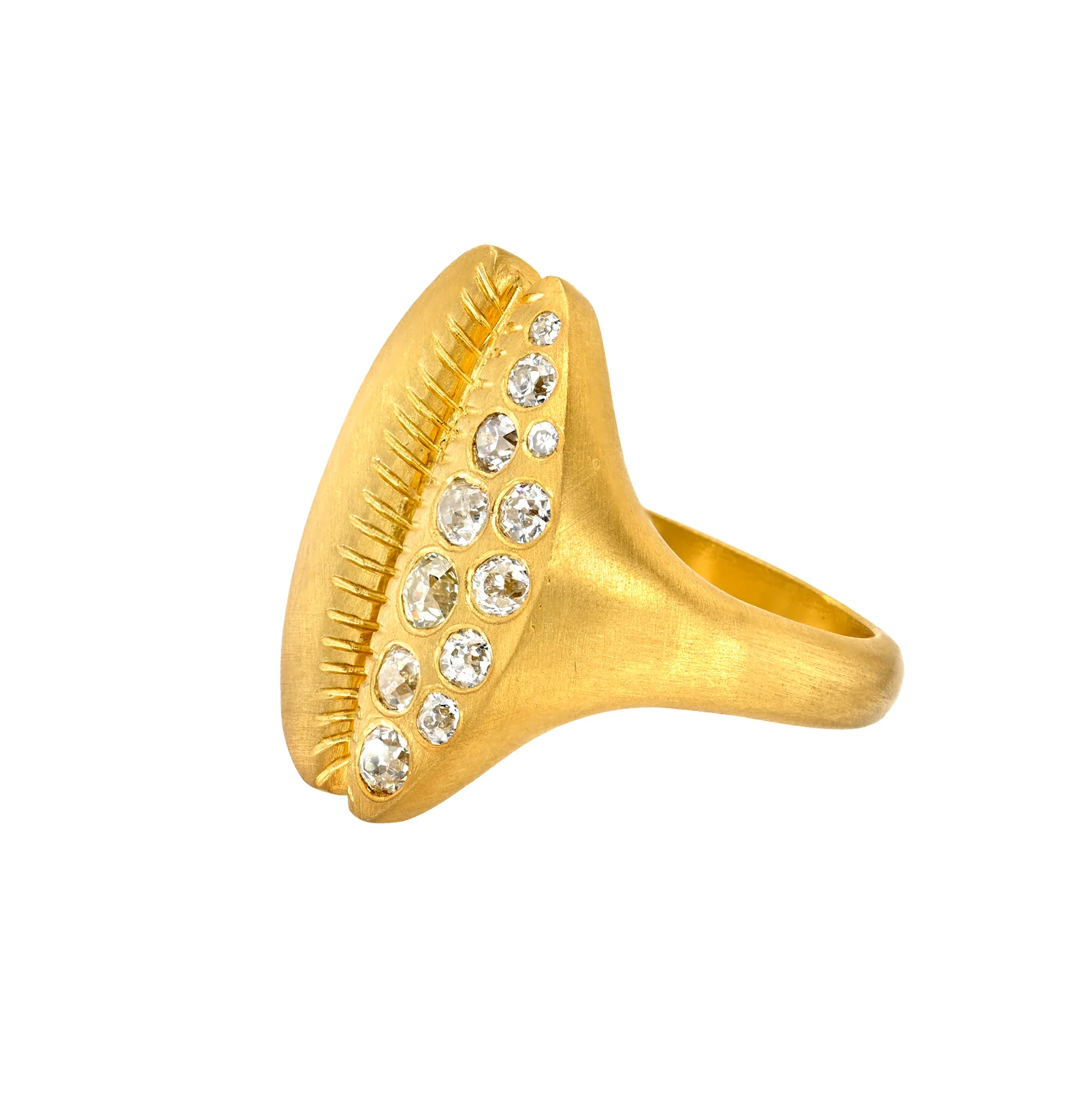 shell jewelry: diamond shell ring