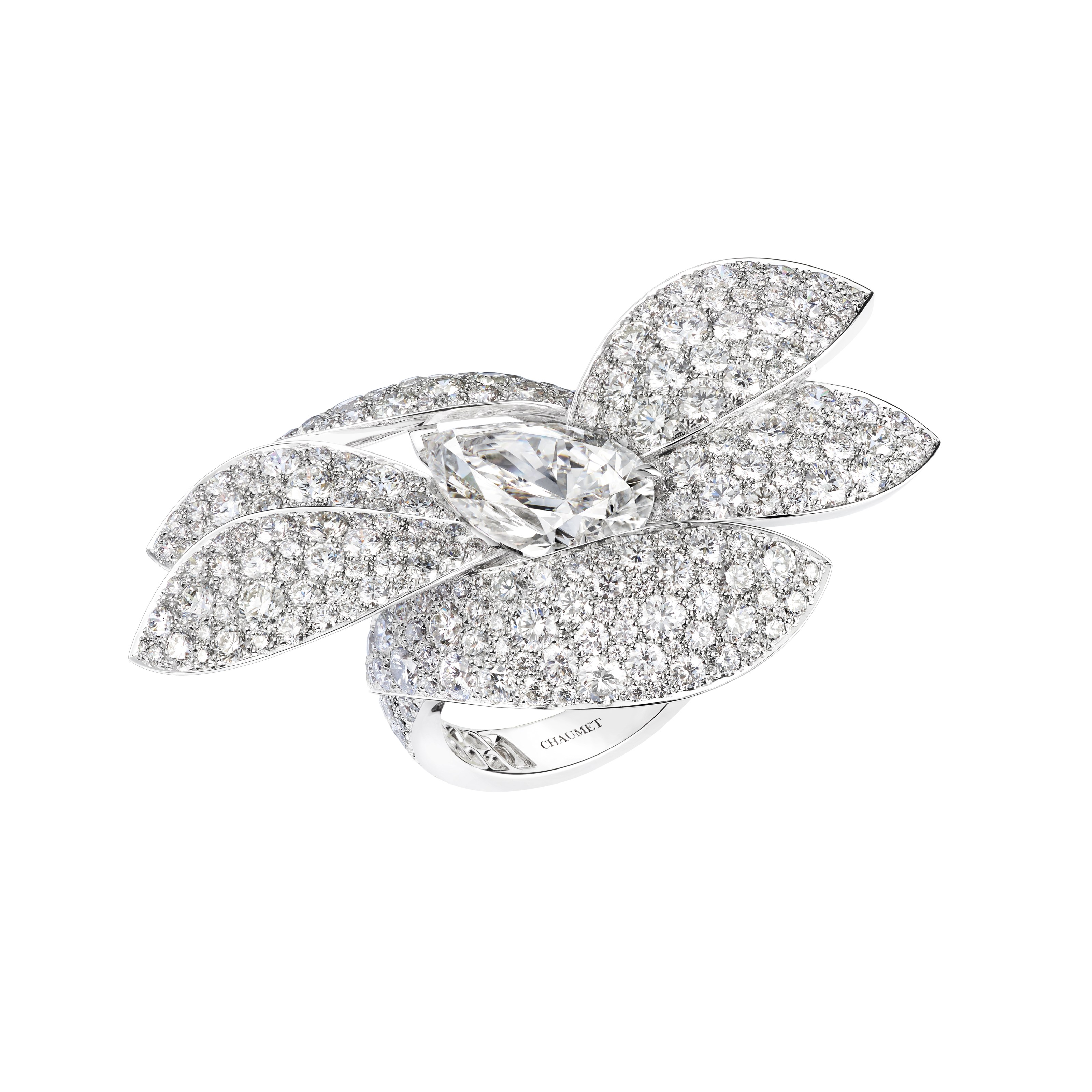 Maison Chaumet: Le Jardin Joaillier Du 12 Place Vendôme