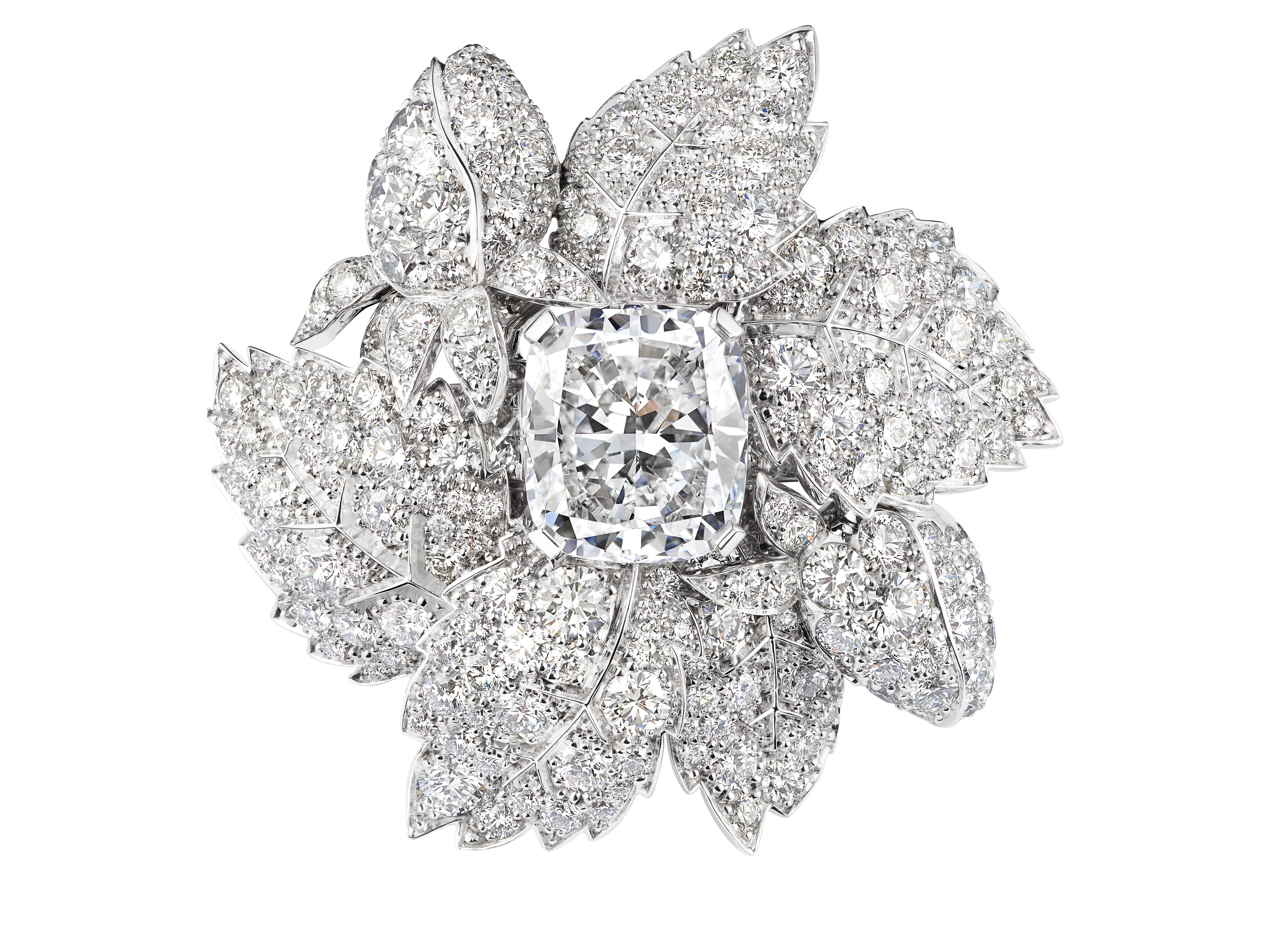 Maison Chaumet: Le Jardin Joaillier Du 12 Place Vendôme