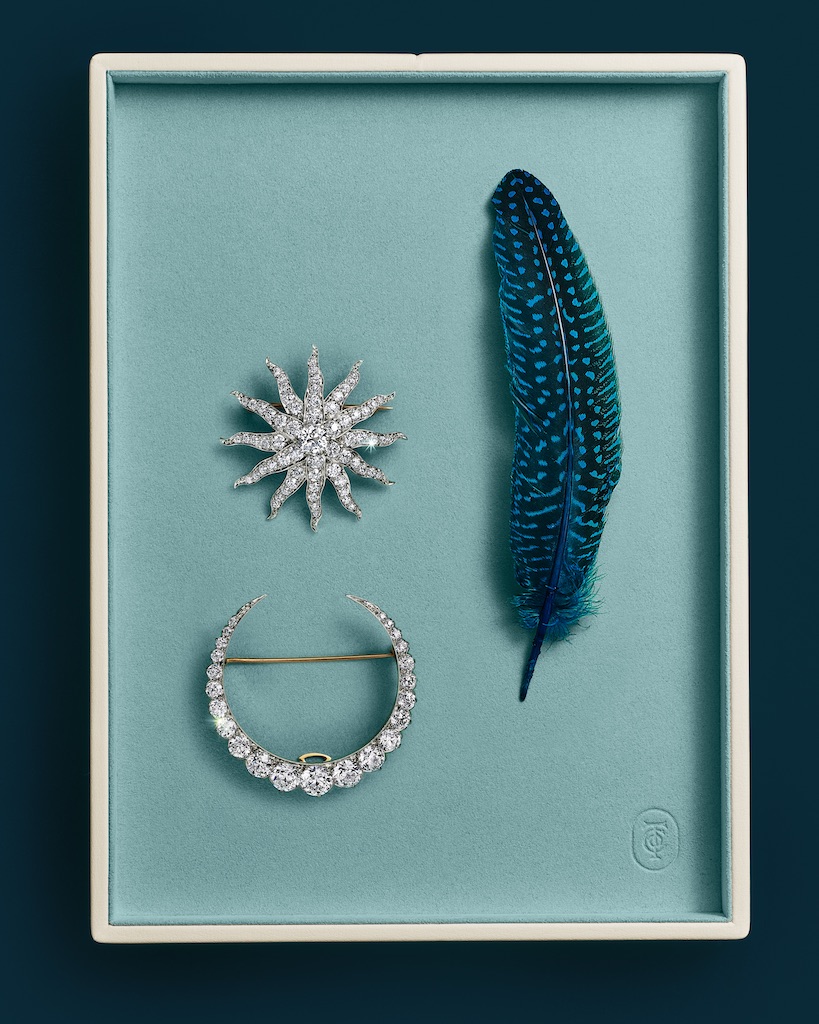 The Tiffany & Co. Diamond Starburst Brooch and Moon Brooch will appear in Frankenstein.