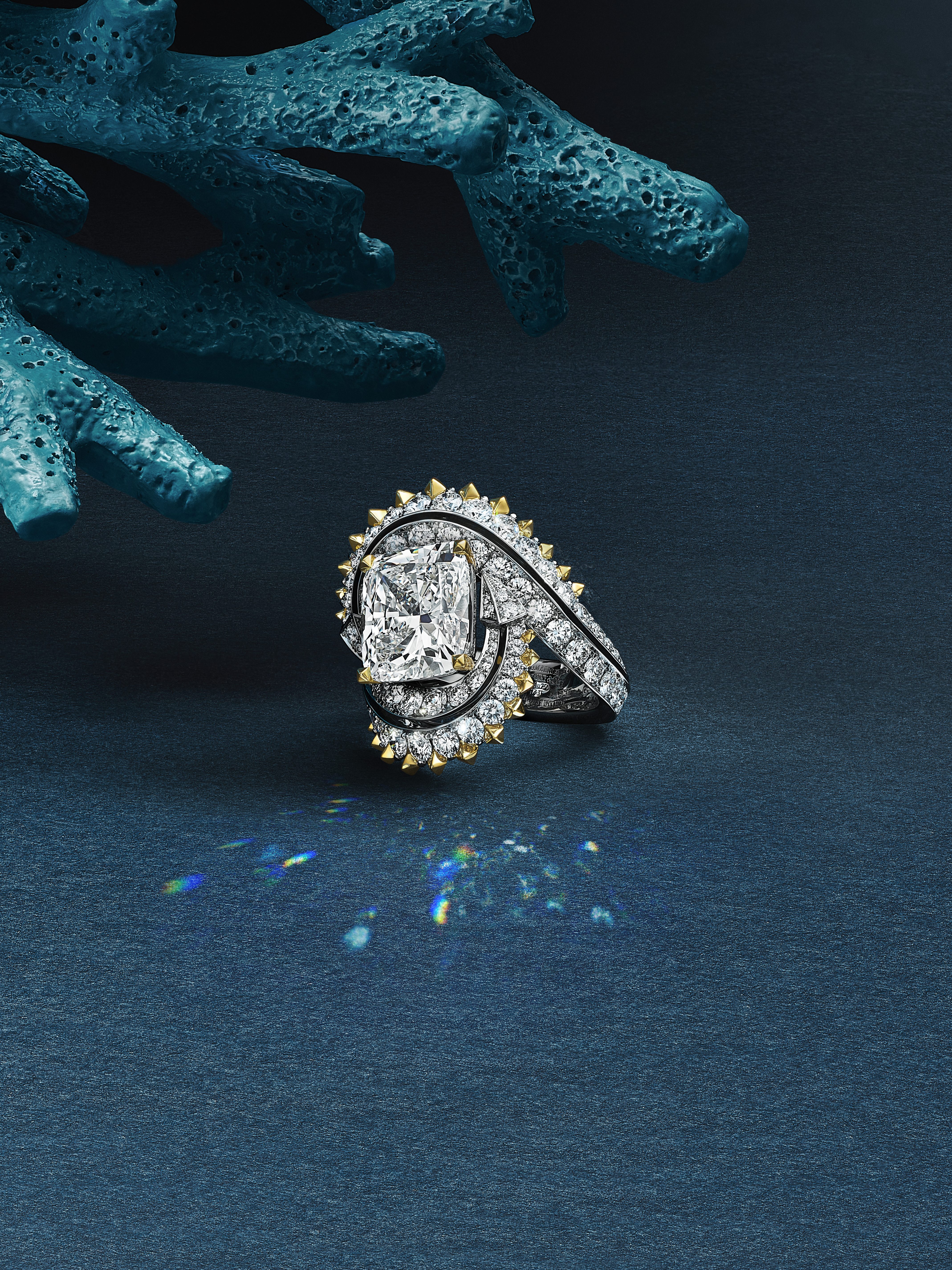 Le Souffle Marin du Blue Book 2025