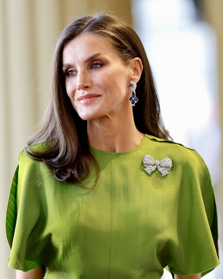 Dainty Diamond Bows Are the Perfect Holiday Accessory 13 Royal Women Have Long Loved Diamond Bows: Queen Letizia of Spain