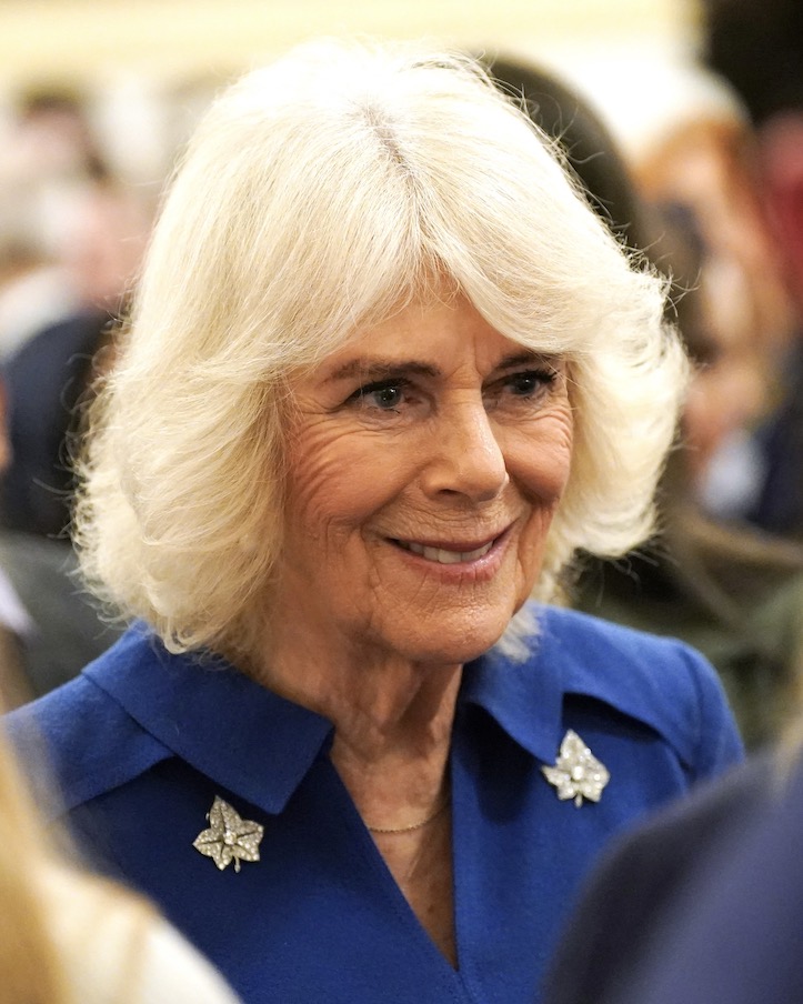 Margaret Greville Ivy Leaf Brooches