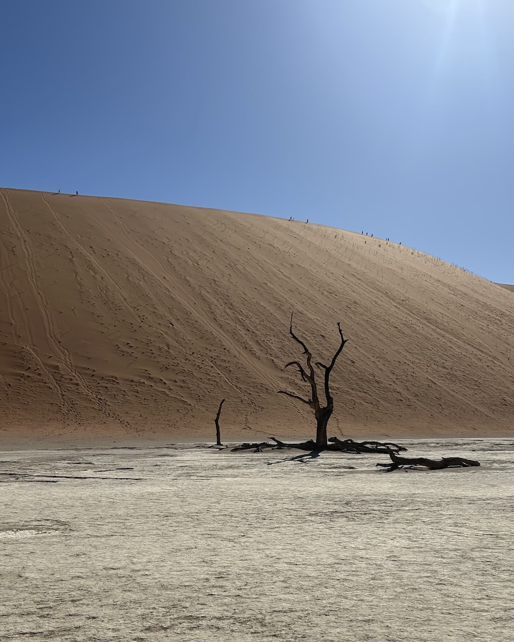 Desert Diamonds: The Namib Desert in Namibia is the oldest desert on Earth (Courtesy of Leah Faye Cooper)