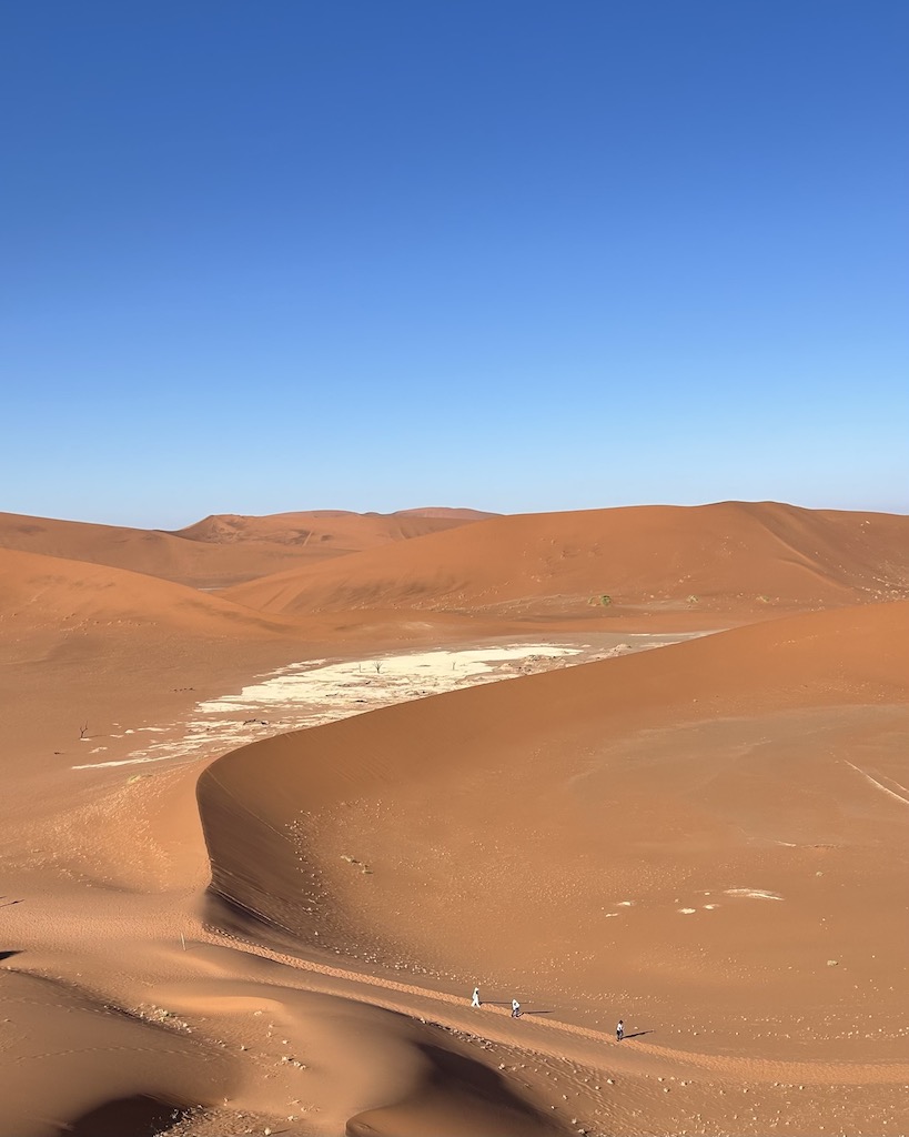 Desert Diamonds: The Namib Desert in Namibia is the oldest desert on Earth (Courtesy of Leah Faye Cooper)
