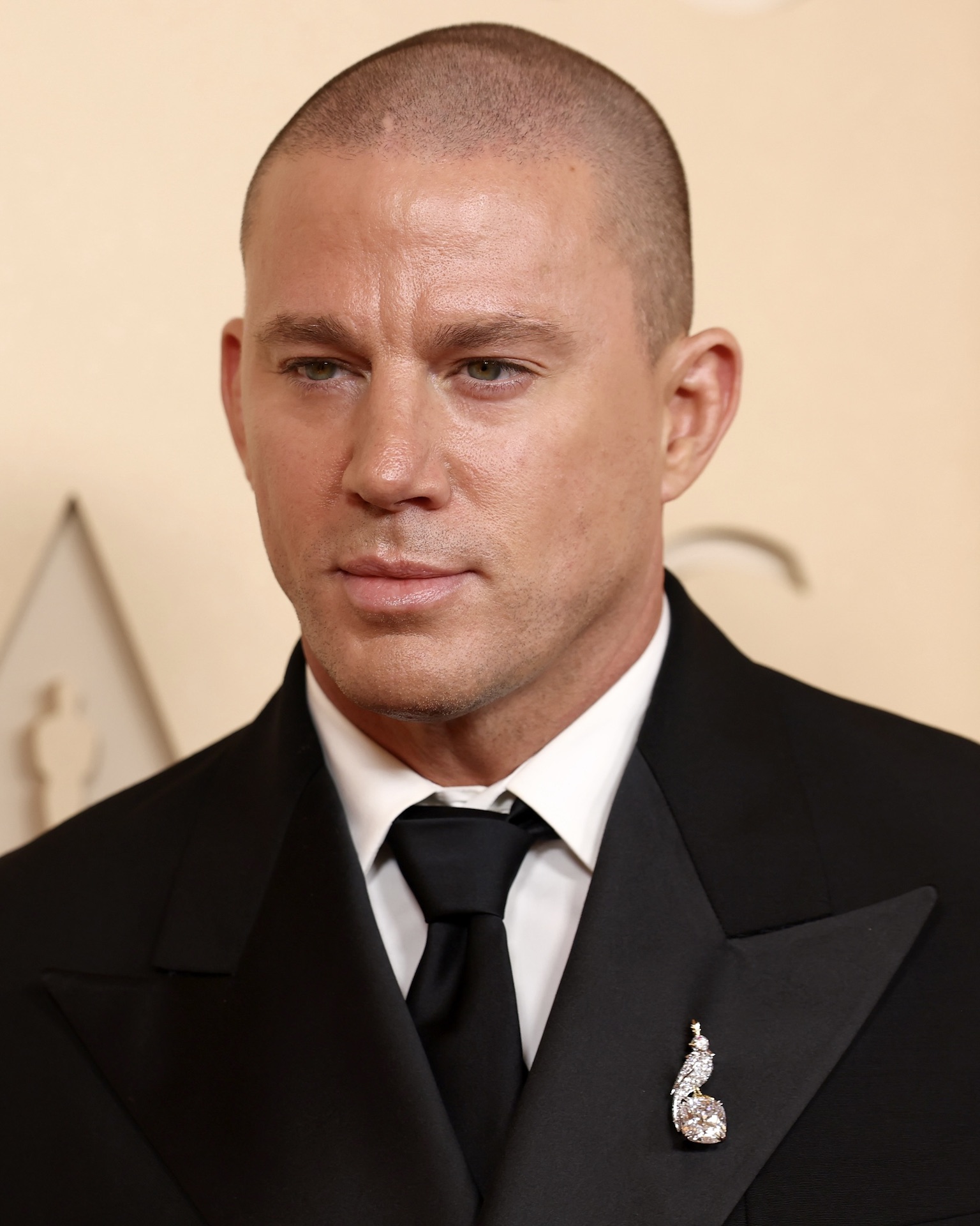 Channing Tatum Wore Tiffany & Co. Jewelry to the Oscars 2026 Diamond Bird on a Rock Brooch 