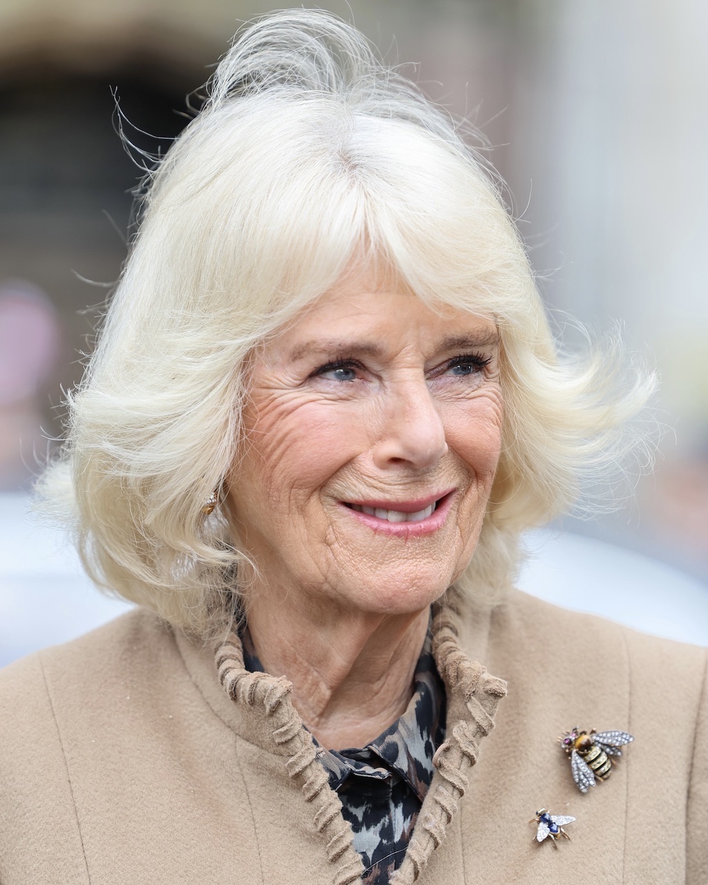 Insect Jewelry: Queen Camilla bumblebee brooches