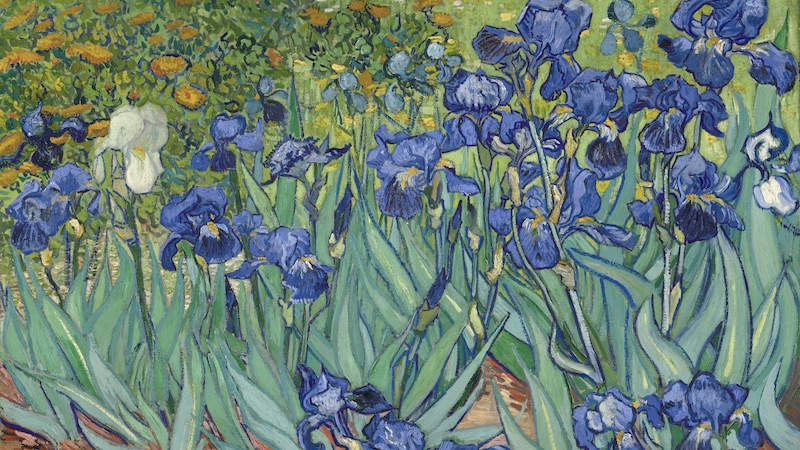 art-inspired jewelry, jewelry inspired by art:  Irises by Vincent van Gogh, 1889. (Wikimedia Commons/ Public Domain)